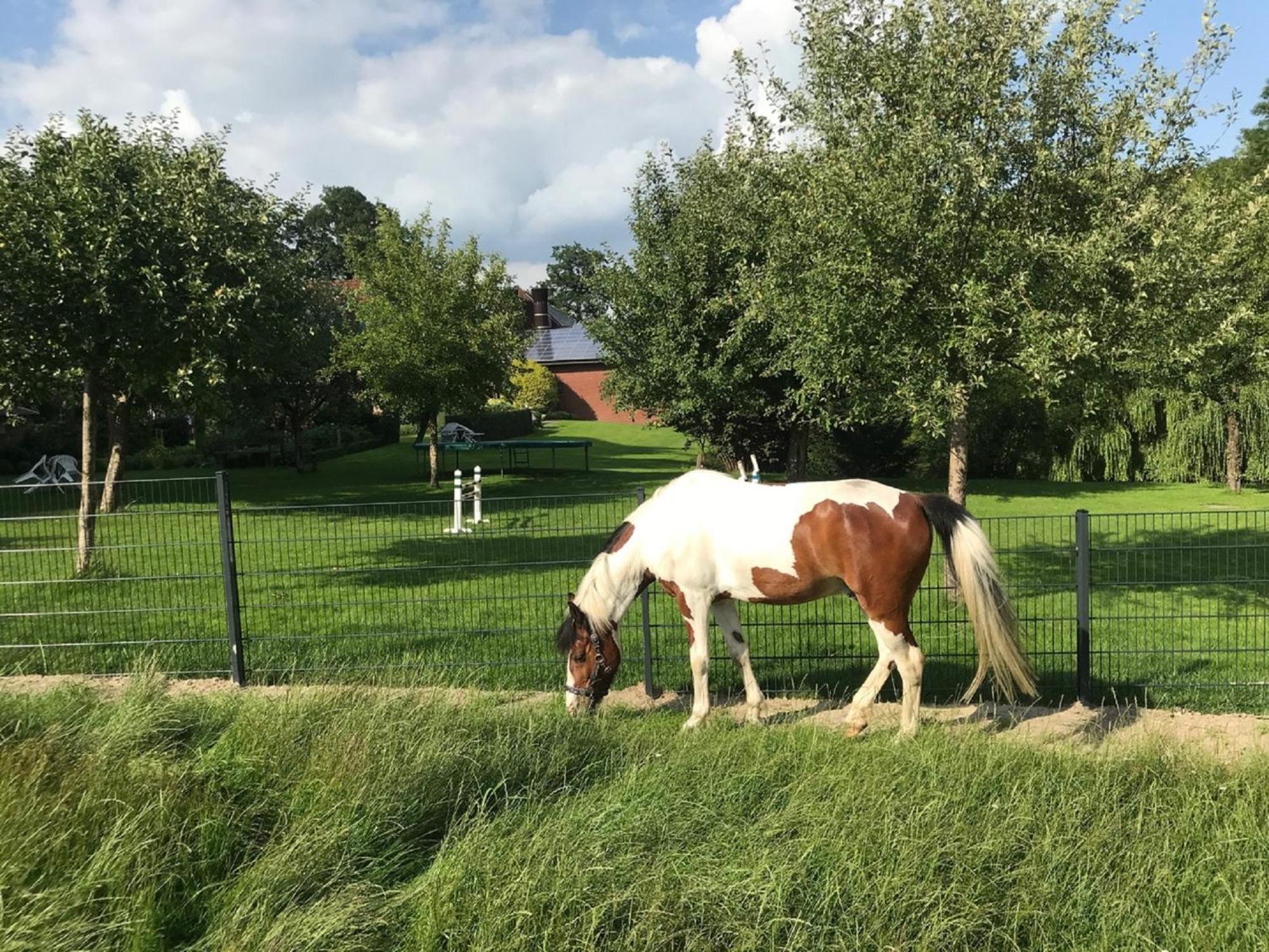 Gutshof Schulze-Althoff Guest House Schöppingen Eksteriør bilde